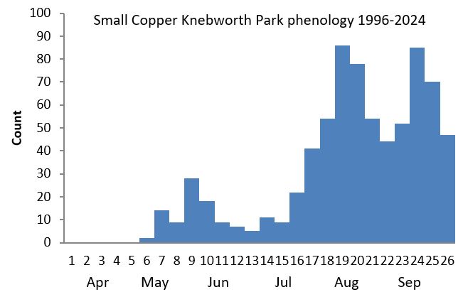 Small Copper Knebworth Park phenology chart