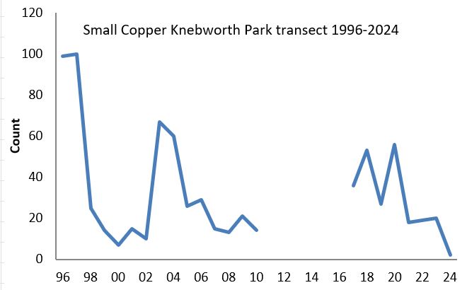 Small Copper Knebworth Park transect abundance chart