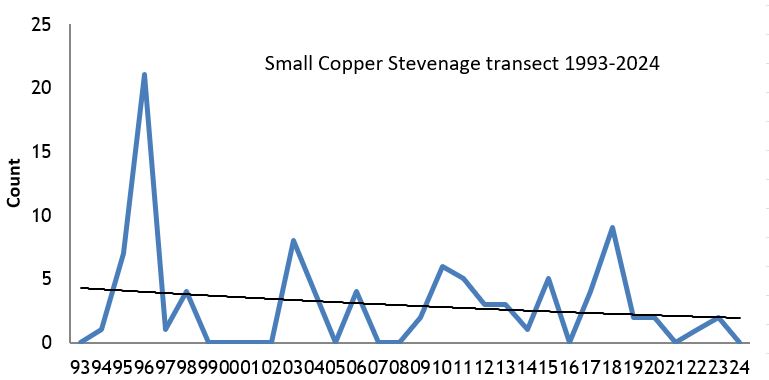  Small Copper Stevenage transect abundance chart