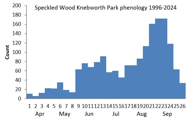 Speckled Wood Knebworth Park phenology chart