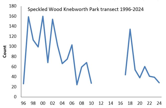 Speckled Wood Knebworth Park transect abundance chart