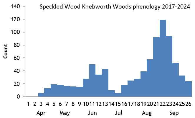 Speckled Wood Knebworth Woods phenology chart