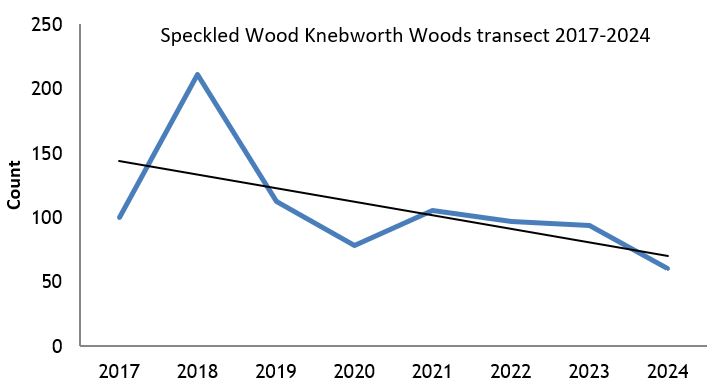 Speckled Wood Knebworth Woods transect abundance chart