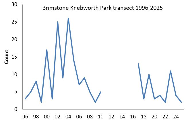 Brimstone Knebworth Park transect abundance chart Brimstone Knebworth Park transect abundance chart