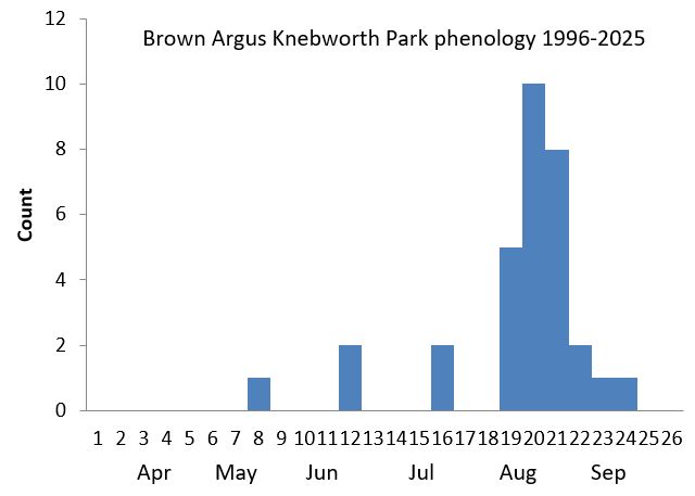 Brown Argus Knebworth Park phenology chart