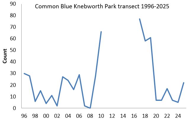 Common Blue Knebworth Park transect abundance chart