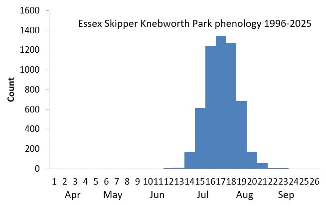 Essex Skipper Knebworth Park phenology chart Essex Skipper Knebworth Park phenology chart