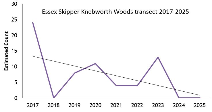 Essex Skipper Knebworth Woods transect abundance chart Essex Skipper Knebworth Woods transect abundance chart