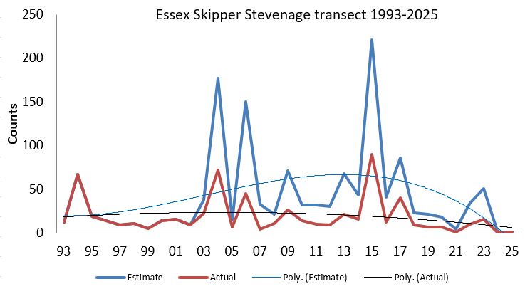Essex Skipper Stevenage transect abundance chart Essex Skipper Stevenage transect abundance chart