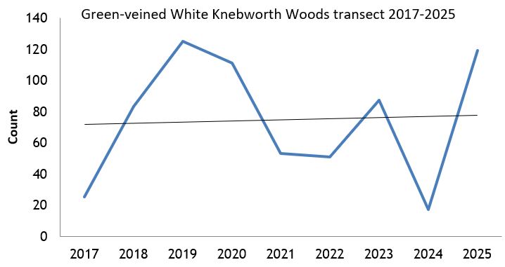 Green-veined White Knebworth Woods transect abundance chart Green-veined White Knebworth Woods transect abundance chart
