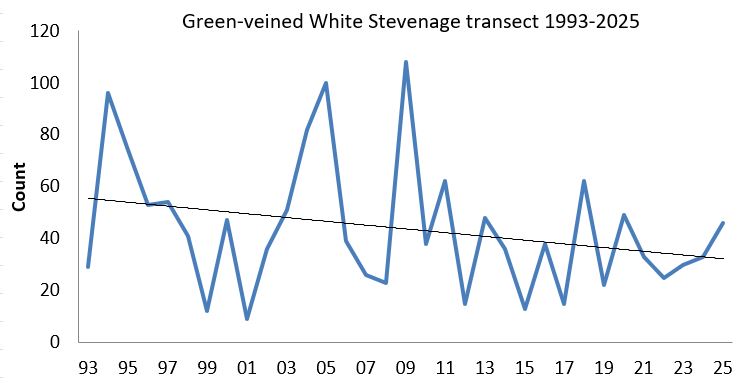 Green-veined White Stevenage transect abundance chart Green-veined White Stevenage transect abundance chart