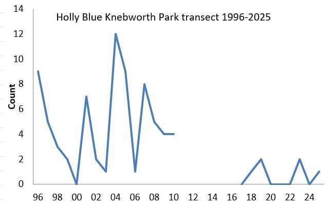 Holly Blue Knebworth Park transect abundance chart