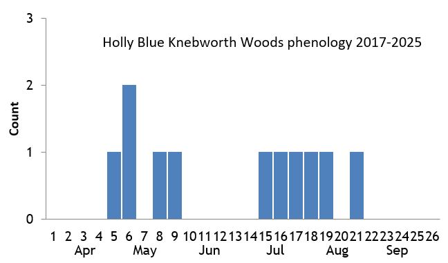 Holly Blue Knebworth Woods phenology chart