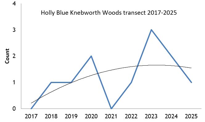 Holly Blue Knebworth Woods transect abundance chart