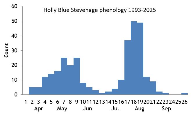 Holly Blue Stevenage phenology chart