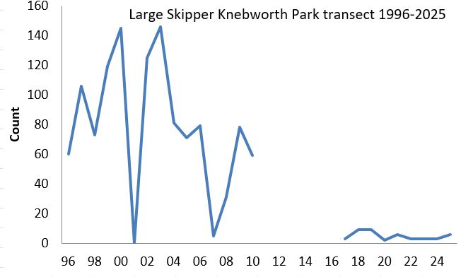 Large Skipper Knebworth Park transect abundance chart