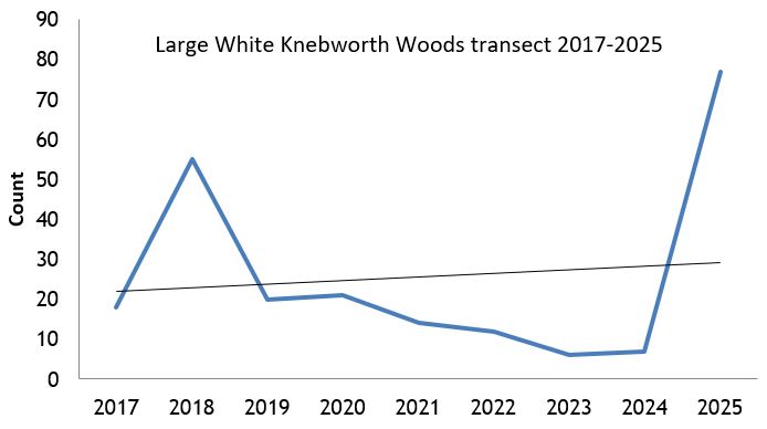 Large White Knebworth Woods transect abundance chart