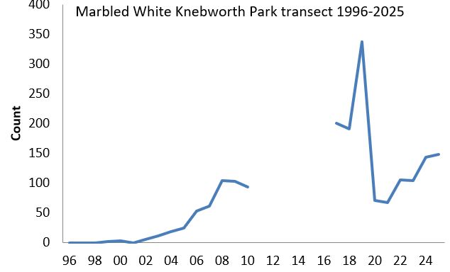 Marbled White Knebworth Park transect abundance chart