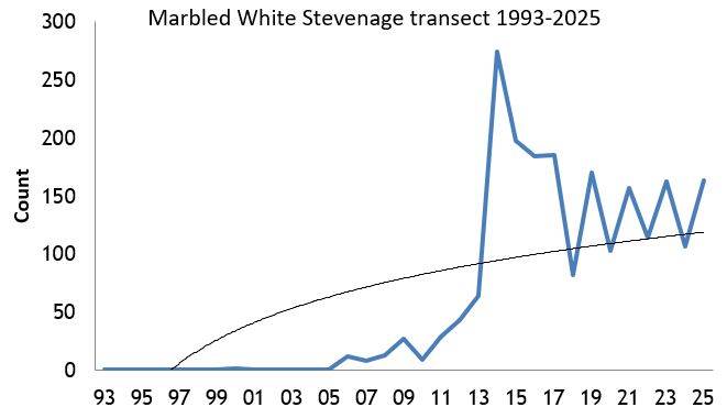  Marbled White Stevenage transect abundance chart