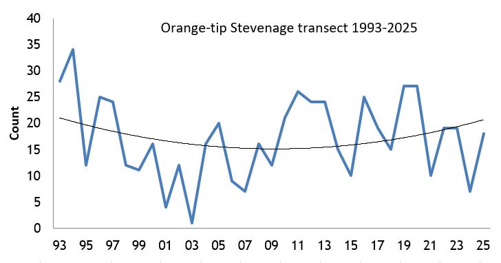 Orange-tip Stevenage transect abundance chart Orange-tip Stevenage transect abundance chart