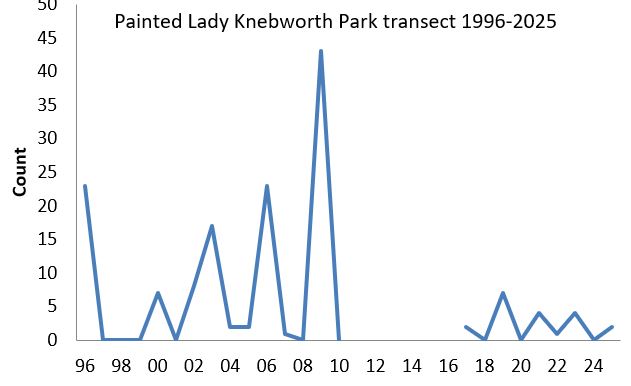 Painted Lady Knebworth Park transect abundance chart