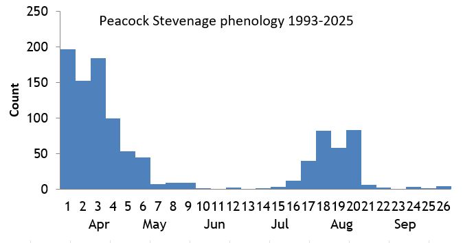 Peacock Stevenage phenology chart