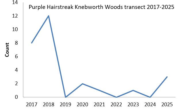 Purple Hairstreak Knebworth Woods transect abundance chart