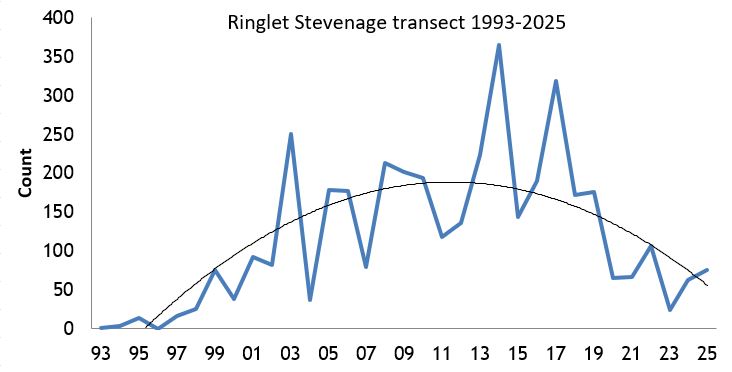  Ringlet Stevenage transect abundance chart