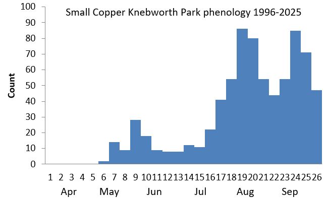 Small Copper Knebworth Park phenology chart