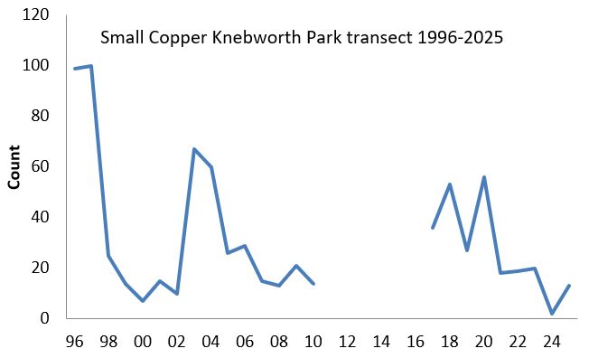 Small Copper Knebworth Park transect abundance chart