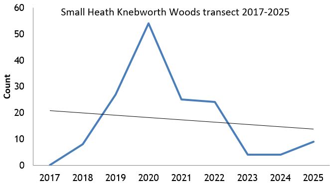 Small Heath Knebworth Woods transect abundance chart