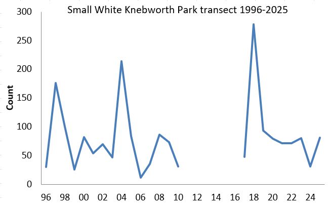 Small White Knebworth Park transect abundance chart