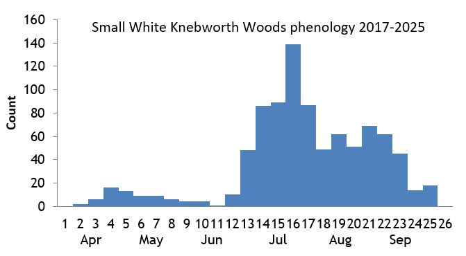Small White Knebworth Woods phenology chart