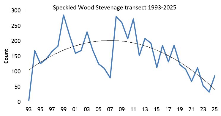  Speckled Wood Stevenage transect abundance chart