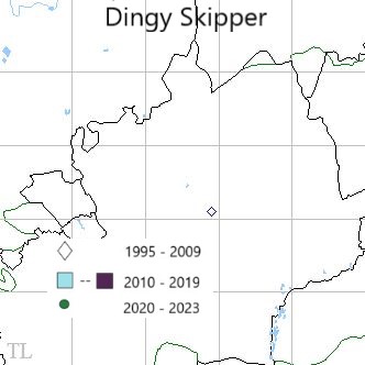 Dingy Skipper TL22 distribution