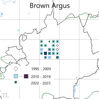 Brown Argus TL22 distribution