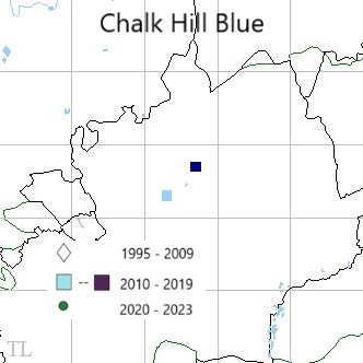 Chalkhill Blue TL22 distribution