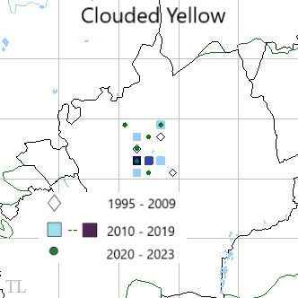 Clouded Yellow TL22 distribution