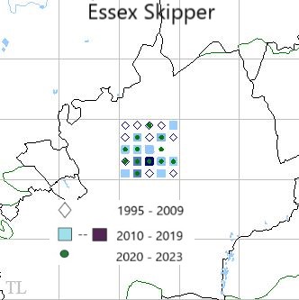 Essex Skipper TL22 distribution