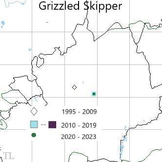 Grizzled Skipper TL22 distribution