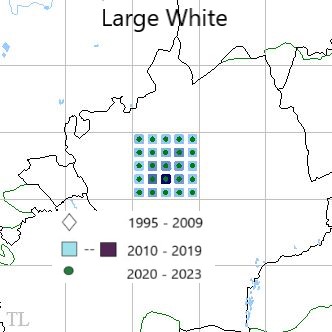 Large White TL22 distribution
