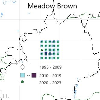 Meadow Brown TL22 distribution