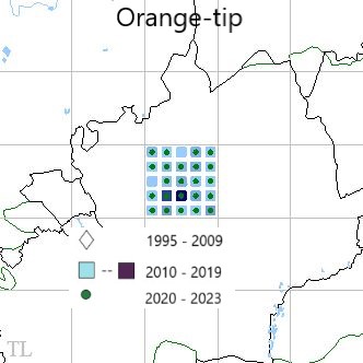 Orange-tip TL22 distribution