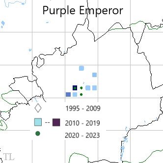 Purple Emperor TL22 distribution