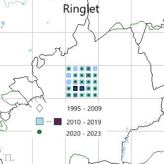 Ringlet TL22 distribution