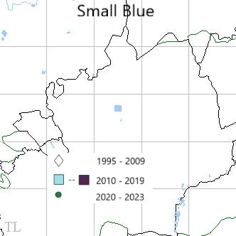 Small Blue TL22 distribution