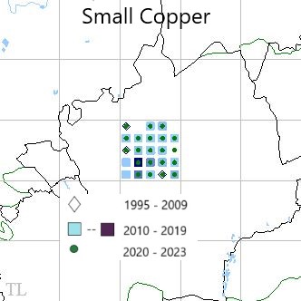 Small Copper TL22 distribution