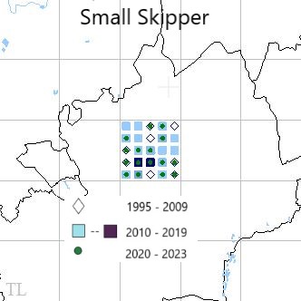 Small Skipper TL22 distribution